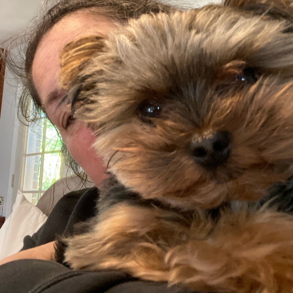 Meet your Posher, Tiffany - Picture 1 of 1